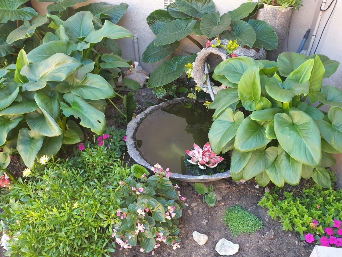 Dilisca Guesthouse Durbanville Esterno foto